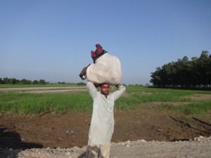 DSC00079 